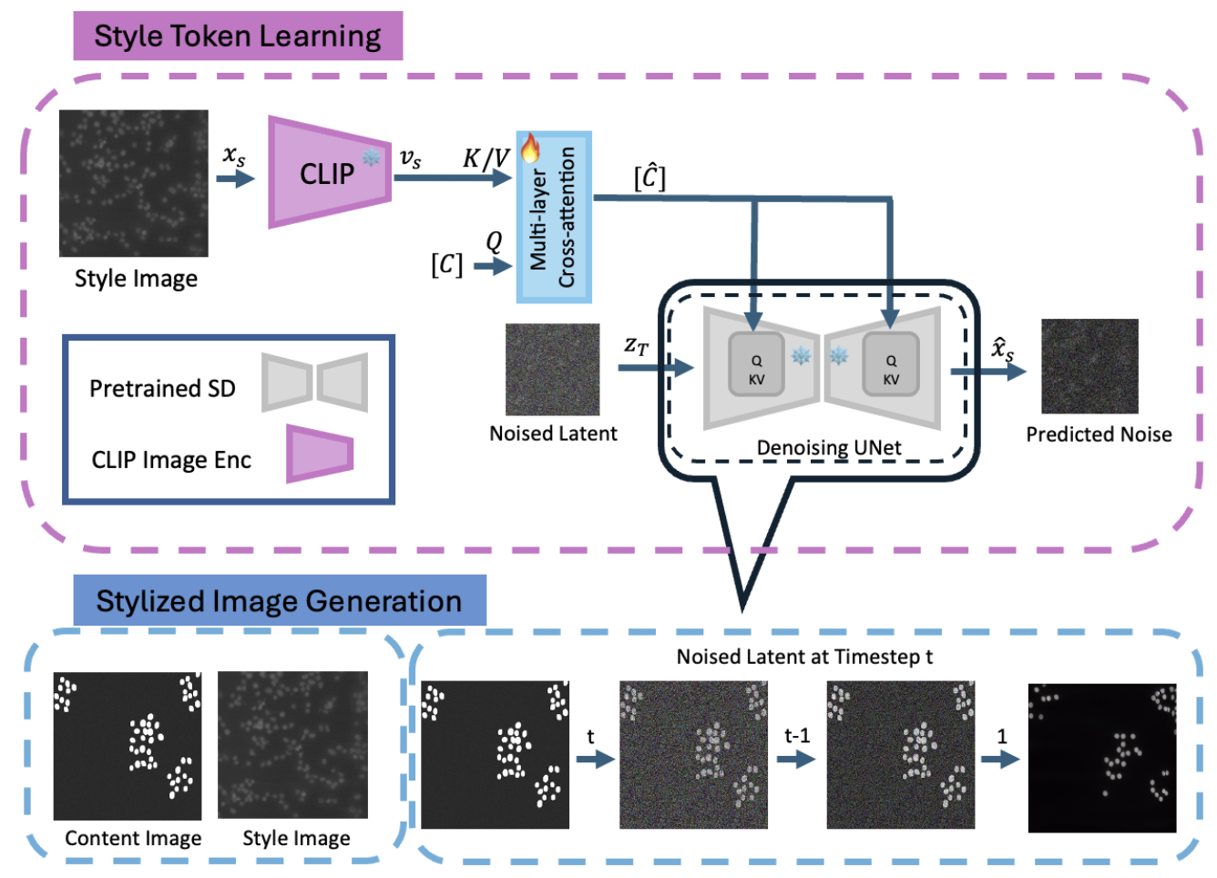 InST-Microscopy method pipeline showing style-token learning and stylized microscopy image generation