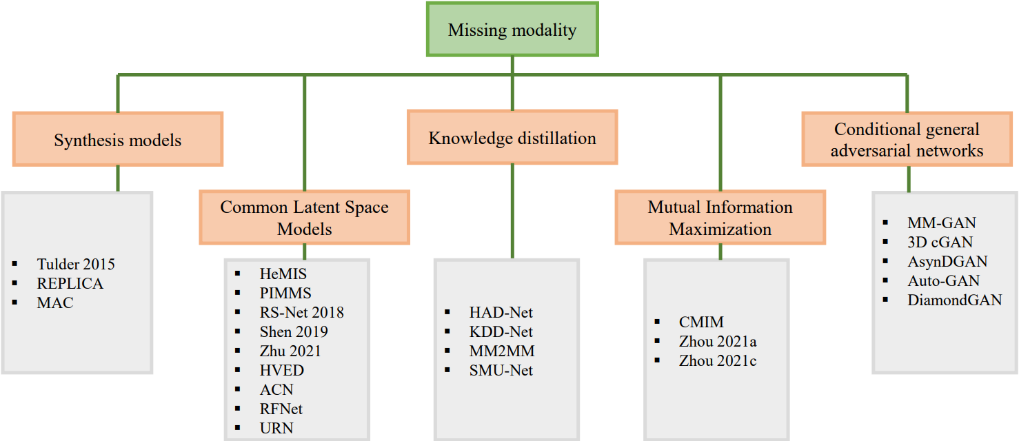 Taxonomy of approaches for MRI segmentation with missing modalities