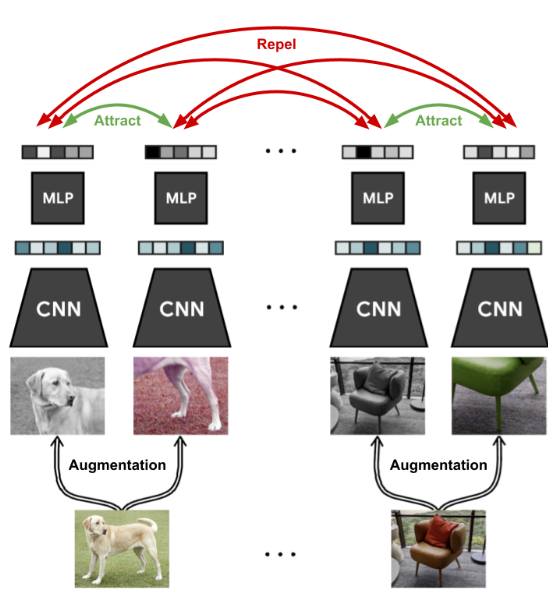 SimCLR contrastive representation-learning architecture